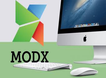 MODX - Система управления сайтом | Студия «WEBLUX»