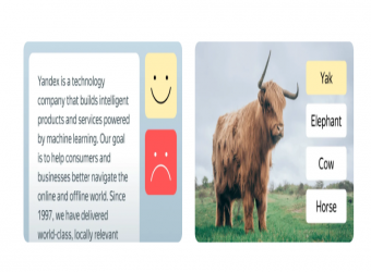 Удобная сортировка текстов и фото в Лаборатории Яндекс.Толоки | Студия «WEBLUX»