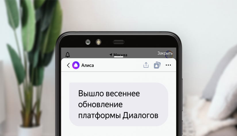 Весеннее обновление платформы Весеннее обновление платформы Диалогов | Студия «WEBLUX»